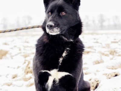 Bunia- kolejna ofiara podłości człowieka...