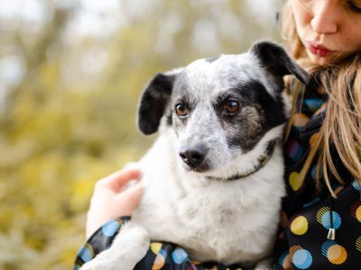 Alvin - całe życie za kratami BŁAGAMY o pomoc