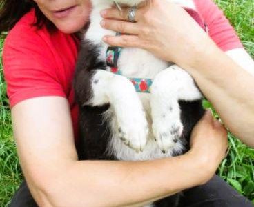 RINO - mały, kochany psiak szuka super domu