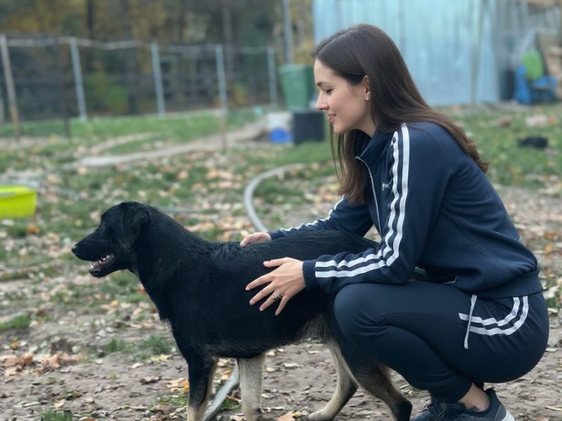 10 miesięczny Majlo - wesoły, przyjazny szczeniak!