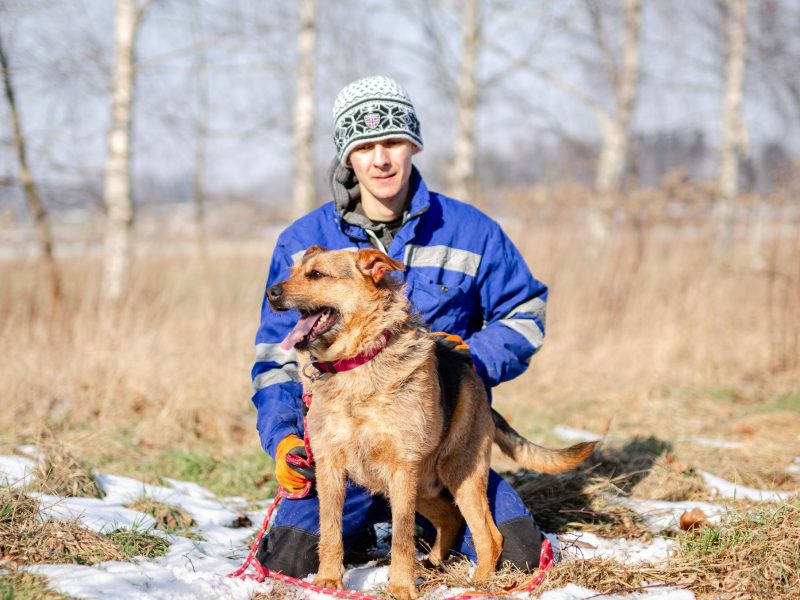 Kufel - fantastyczny, szorstkowłosy psiak szuka domu!