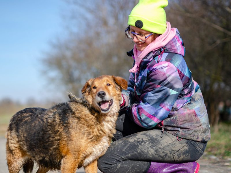 Kapral - przyjazny, wesoły psiak szuka domu!