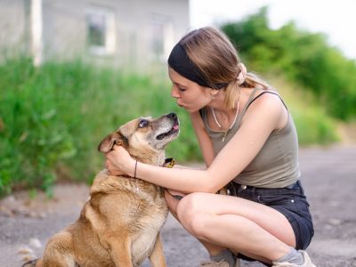 Tores - niekonfliktowy, rodzinny psiak!