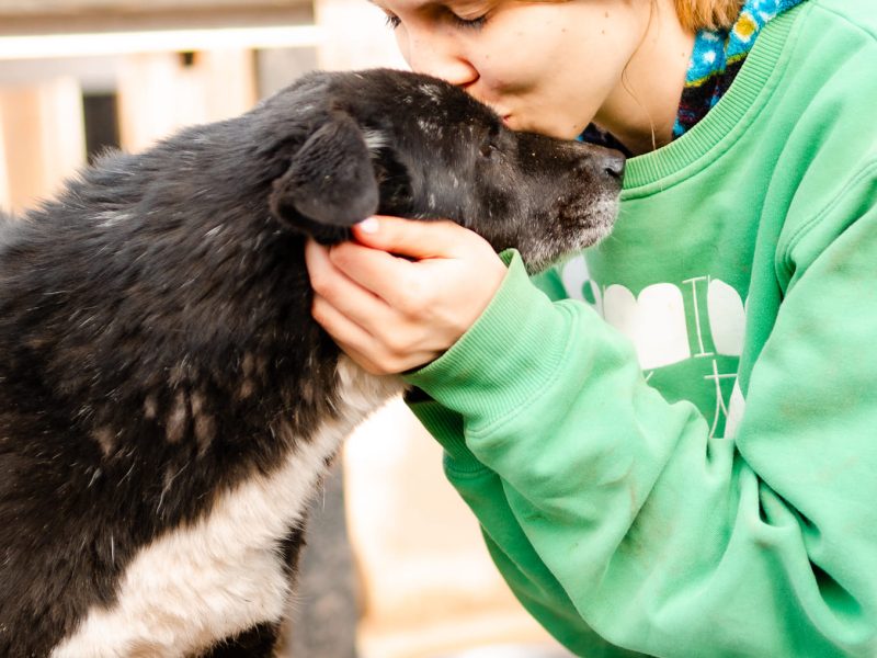 Wania - kochany psiak szuka domu!