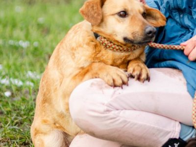 Rudzik - delikatny, spokojny, do rany przyłóż