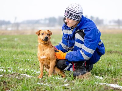 Cudowny Rożek - delikatny, łagodny psiak