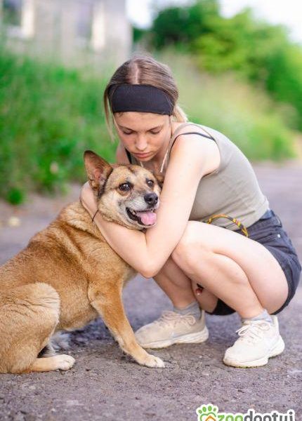 Tores - przekochany, niekonfliktowy psiak do adopcji
