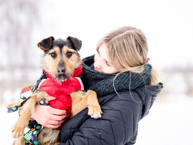 Roxi - młoda, niekonfliktowa, niewielka suczka