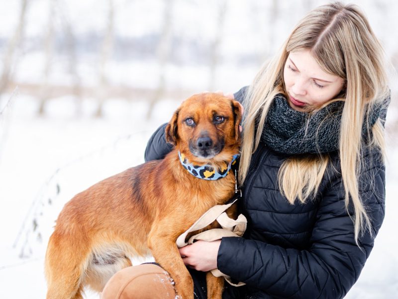 Korek - prawdziwy pies na medal!