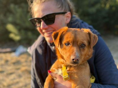 Marianek - nieduży rudy kawaler szuka domu!