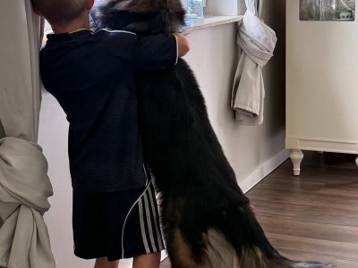 Neska - szukamy odpłatnego domu tymczasowego!