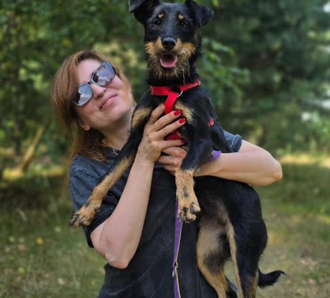 Płotka - młoda terrierka, wesoła, przyjazna sunia!